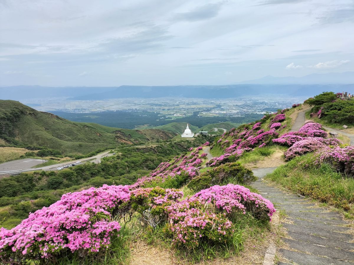 くじゅうはまだ早かったので仙酔峡にミヤマキリシマを見に行ってきた。