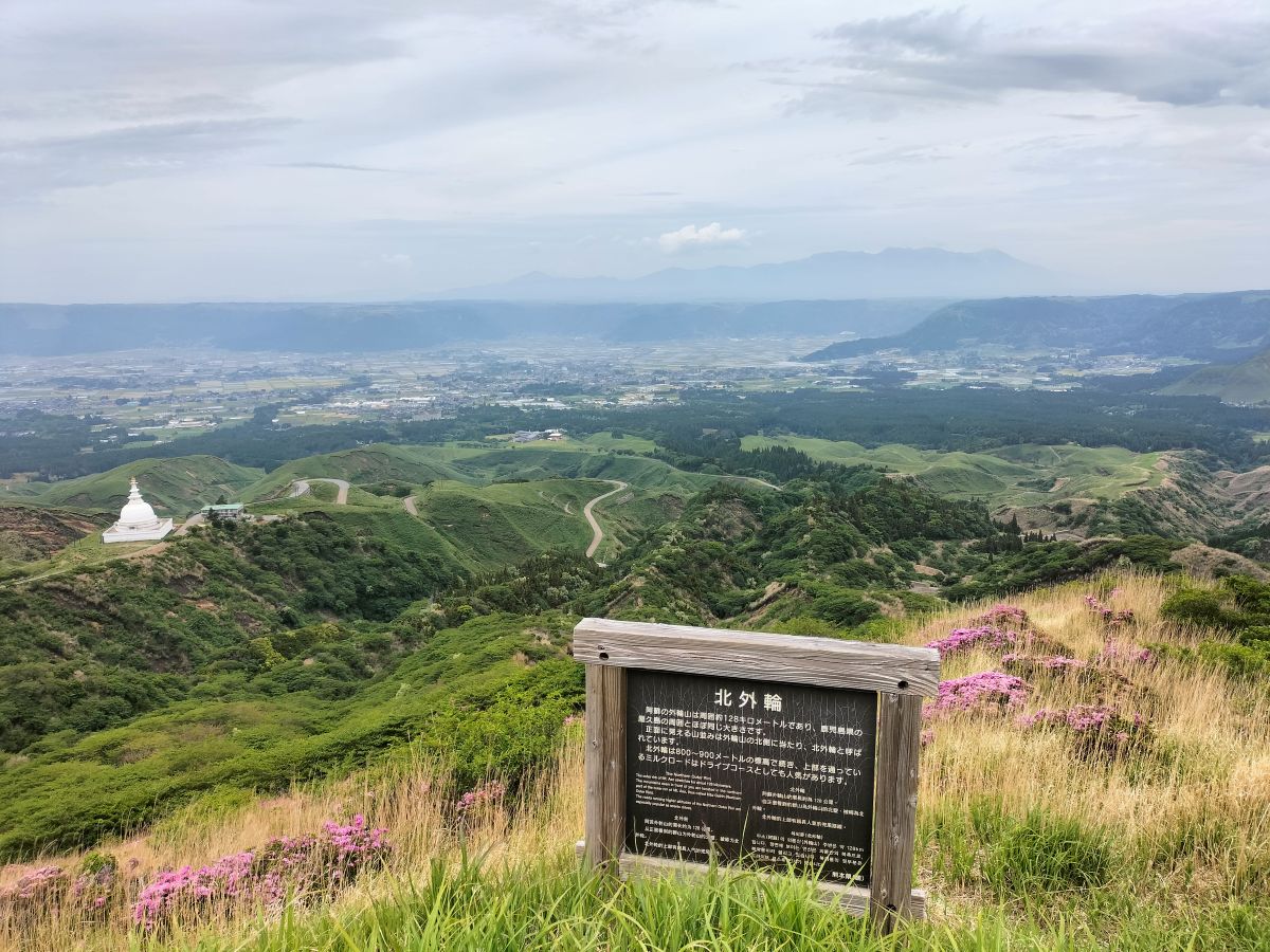 くじゅうはまだ早かったので仙酔峡にミヤマキリシマを見に行ってきた。